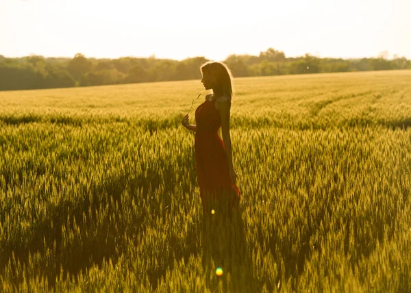 長いドレスのかなり長い髪のスリム女性は牧草地の横に夕日を楽しんで 手で作物の一部を保持しています ストック画像