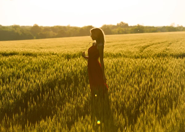 Pretty Long Haired Slim Woman Long Dress Enjoys Sunset Next Stock Image