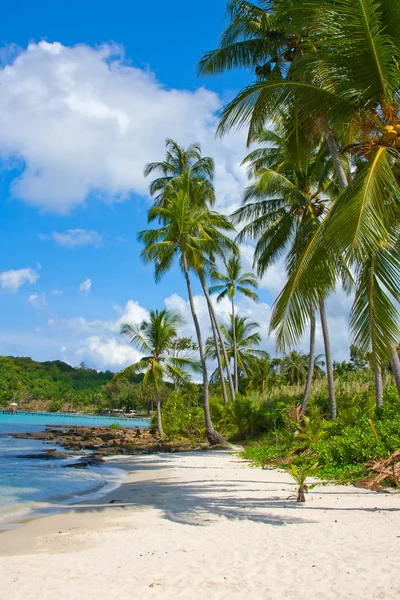 Güzel tropik beach, Tayland — Stok fotoğraf