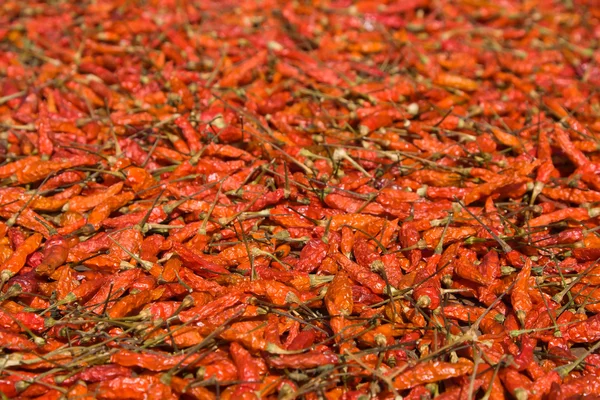 Bakgrund av närbild röd varm paprika — Stockfoto