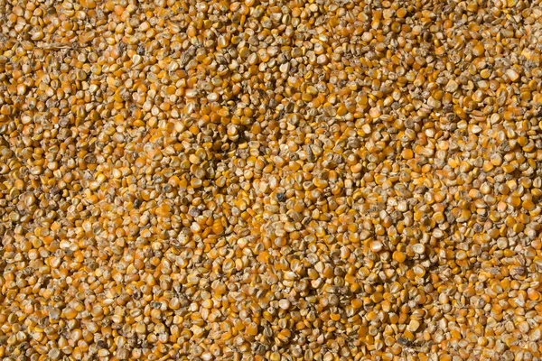 Zrna kukuřice pozadí — Stock fotografie