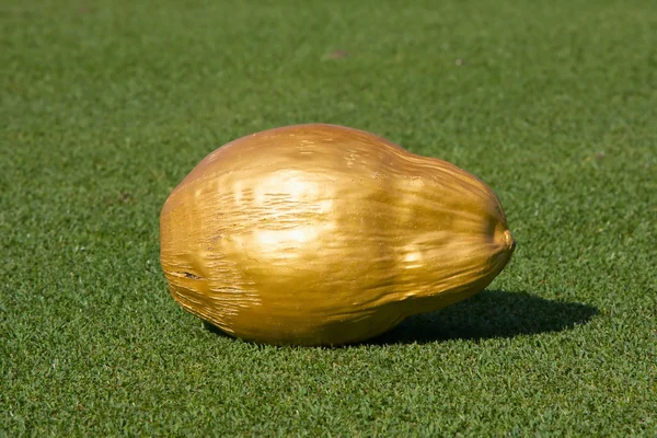 Golden coconut on the golf course — Stock Photo, Image