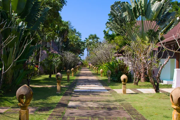 Trilha de passeio em um jardim tropical — Fotografia de Stock