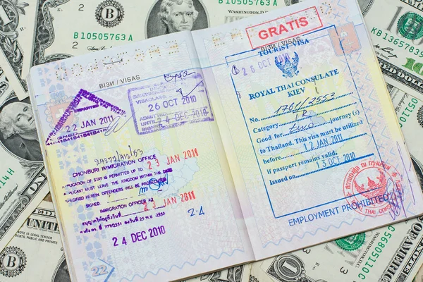 여권, 돈진공 근접 촬영을 가진 남자 — 스톡 사진