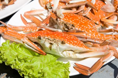 Kırmızı yengeçler