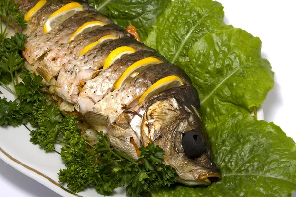 Fischkarpfen gefüllt — Stockfoto