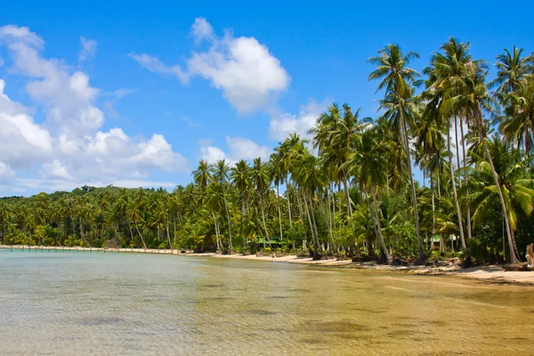 Hermosa playa tropical — Foto de Stock