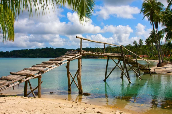 Sunny serenity calm meditation — Stock Photo, Image