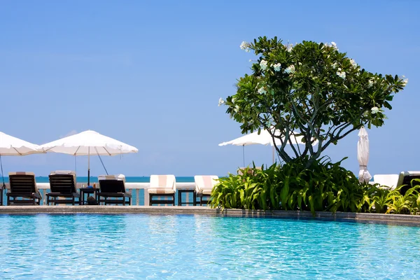 Swimming pool in a tropical hotel — Stock Photo, Image