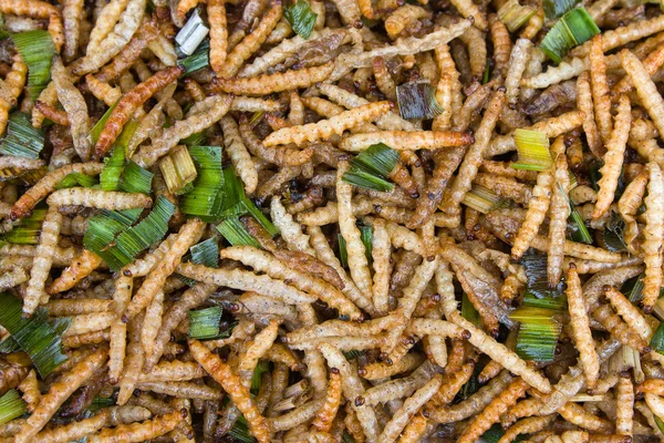 Larvas de bambu fritas — Fotografia de Stock