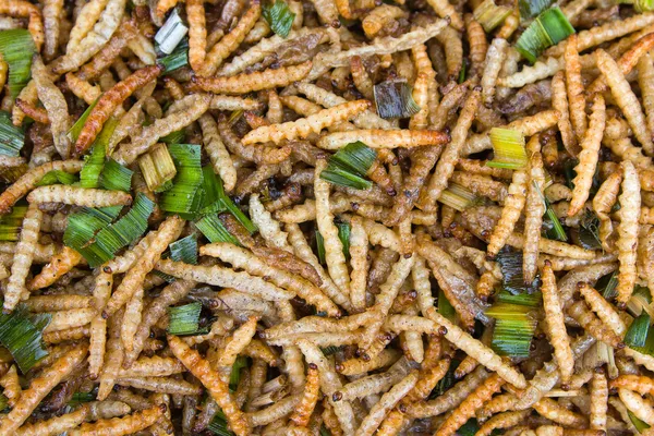 Larvas de bambú fritas —  Fotos de Stock