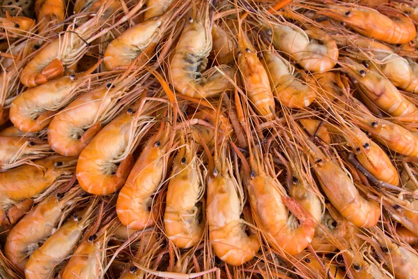 Boiled shrimp — Stock Photo, Image