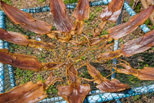 Dry squid — Stock Photo, Image