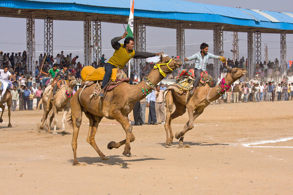 Pushkar Camel Mela (Ярмарка верблюдов Пушкар)
)