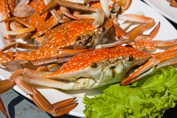 Cooked crab — Stock Photo, Image