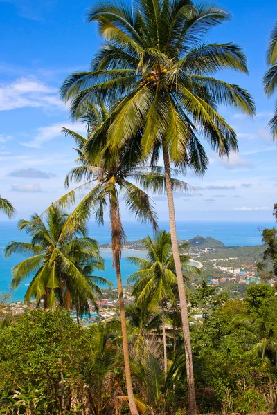 Koh Samui, Tailândia — Fotografia de Stock