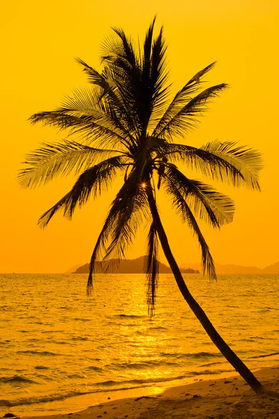 Tropický západ slunce — Stock fotografie