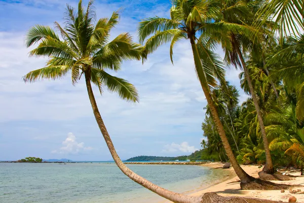 Gelassenheit und exotisches Paradies — Stockfoto