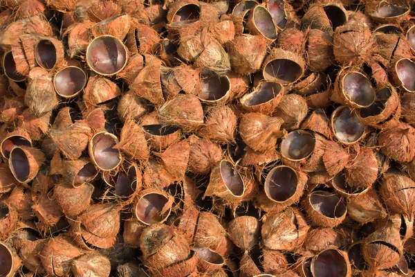 Pilha de cascas de coco devolvidas — Fotografia de Stock