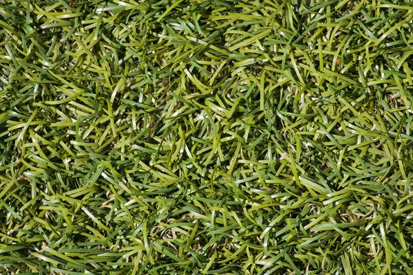 Искусственная трава — стоковое фото