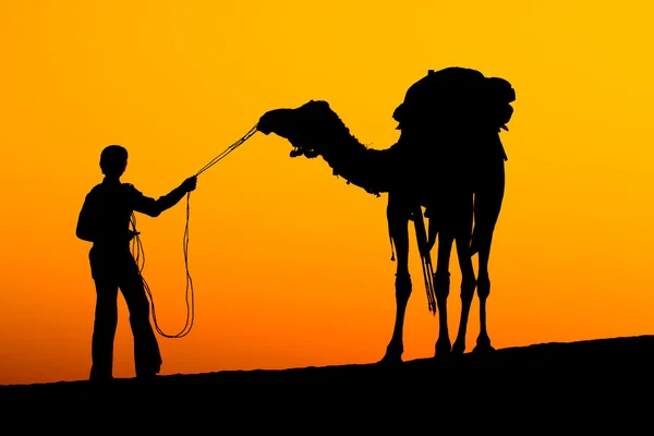 Siluet adam ve deve — Stok fotoğraf