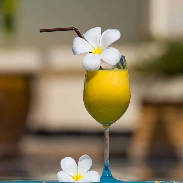 Tropical cocktail — Stock Photo, Image