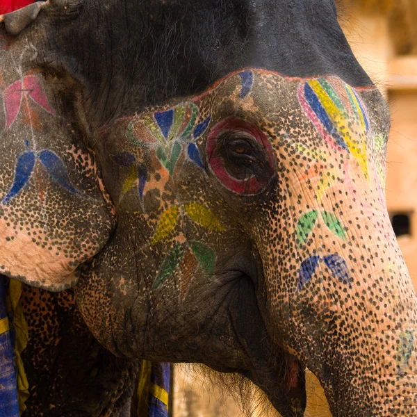 Elefante dipinto a Jaipur, Rajasthan, India — Foto Stock
