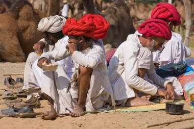 Pushkar deve Mela (Pushkar deve Fuarı)