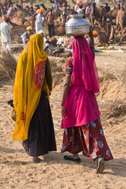 Pushkar deve Mela (Pushkar deve Fuarı)