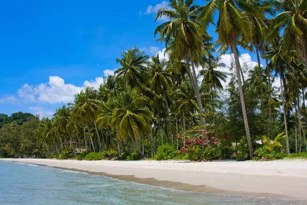 Bella spiaggia tropicale — Foto Stock