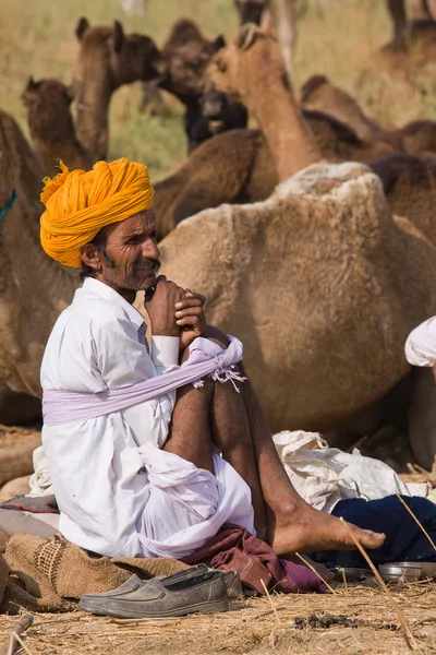 Pushkar Camel Mela (Feria del Camello de Pushkar ) — Foto de Stock
