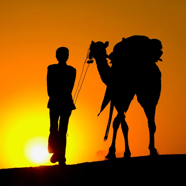 Silhuetten av en man och en kamel vid solnedgången — Stockfoto