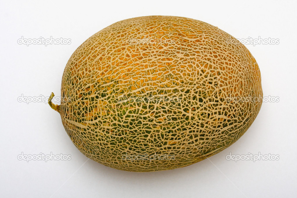 Melon closeup