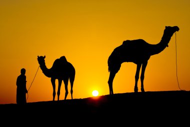 bir adam ve çöl jaisalmer - Hindistan günbatımında iki deve silüeti