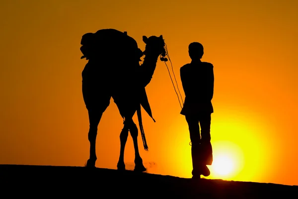 Silhouet man en kameel bij zonsondergang, india — Stockfoto