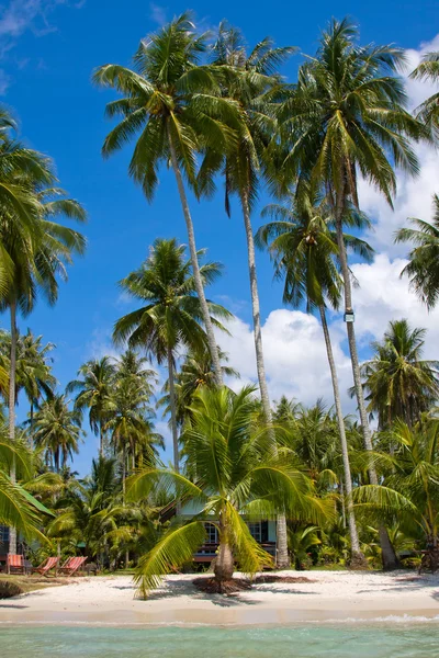 güzel tropik beach, Tayland