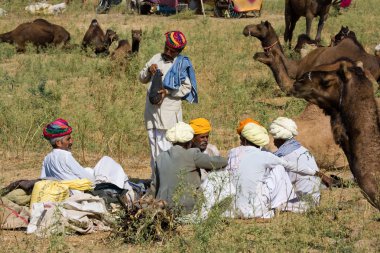 Pushkar, Hindistan - 18 Kasım: pushkar rajasthan, Hindistan pushkar deve mela (pushkar deve adil) 18 Kasım 2012 tarihinde. Bu adil değil dünyanın en büyük deve ticaret fuarı.