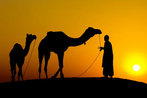 Pueblo de Rajastán. Silueta de un hombre y dos camellos al atardecer en el desierto, Jaisalmer - India — Foto de Stock