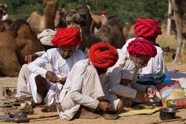 普什卡，印度 — — 11 月 18 日： 普虚卡骆驼梅拉 (普虚卡骆驼公平） 在 2012 年 11 月 18 日在普什卡、 拉贾斯坦邦、 印度。这次博览会是世界上最大的骆驼交易会. — 图库照片