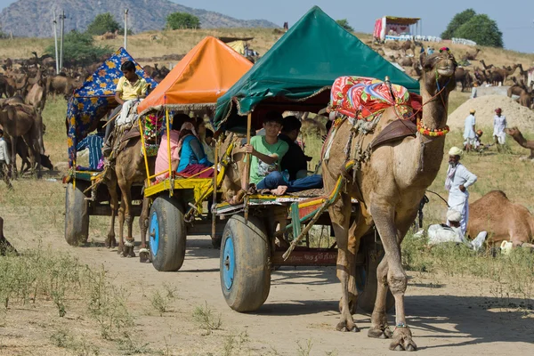 PUSHKAR, INDIA - 18 DE NOVIEMBRE: Camello decorado y su dueño van a participar en la mela anual del camello pushkar (feria) el 18 de noviembre de 2012 en Pushkar, Rajastán, India —  Fotos de Stock