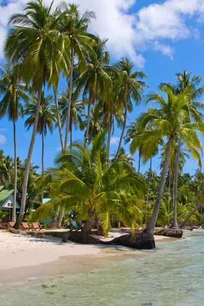 Bella spiaggia tropicale, Thailandia — Foto Stock