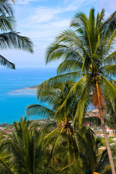 Koh samui, Thailand — Stockfoto