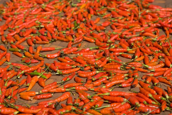 Fundo de closeup pimentas vermelhas — Fotografia de Stock