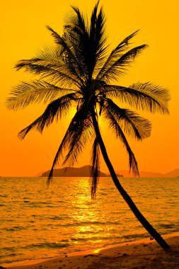 Tropical sunset clipart