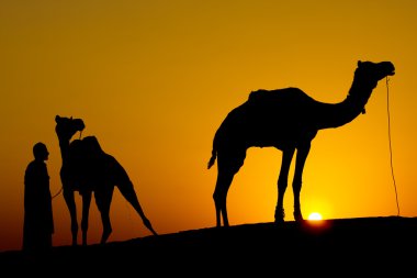 Rajasthan köyü. bir adam ve çöl jaisalmer - Hindistan günbatımında iki deve silüeti