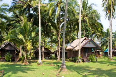 kulübe bir okyanus kenarı, Tayland