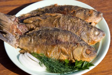 Kızarmış Balık crucian plaka