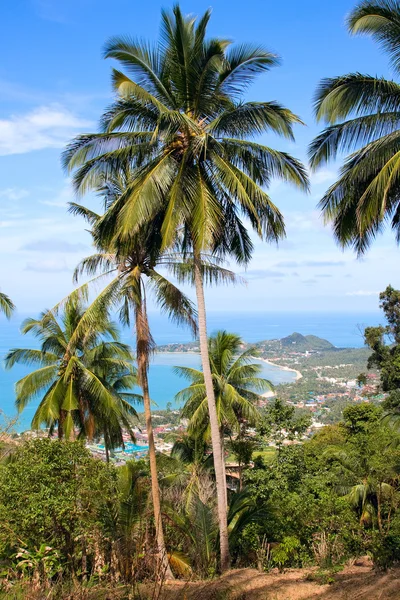 Vista da ilha — Fotografia de Stock