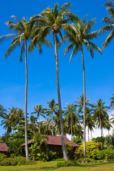 Tropical beach house, Thailand Royaltyfria Stockbilder
