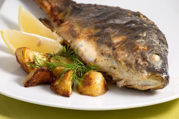 Carpa horneada con verduras — Foto de Stock